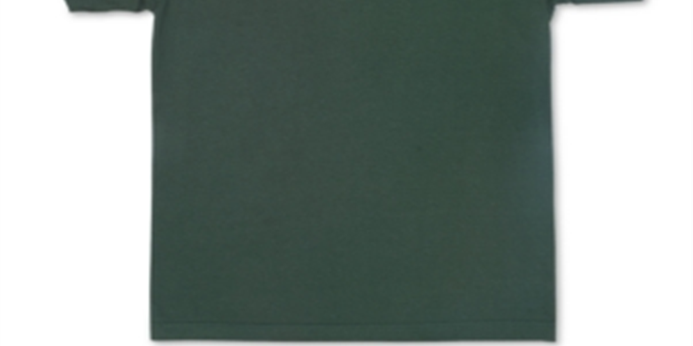 Camiseta masculina LRG com logotipo inclinado, verde, tamanho médio