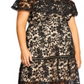 Vestido City Chic Feminino Dream Of Lace Preto Tamanho 20W