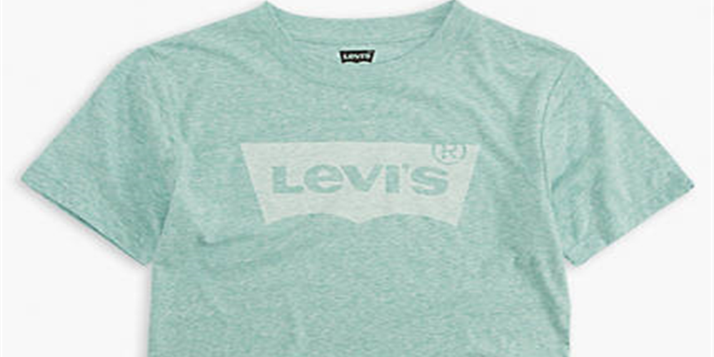 Camiseta Levi's Big Boys' Classic Batwing, fio azul-nilo, tamanho G