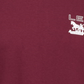 Camiseta Levi's Masculina Physics Logo Manga Longa Vermelha Tamanho Grande
