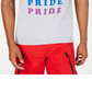 Camiseta estampada unissex Inc Rainbow Pride em benefício do Trevor Project, tamanho cinza XSMLMEDREG
