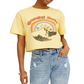 Camiseta curta feminina com estampa Grateful Dead, amarela, tamanho GG