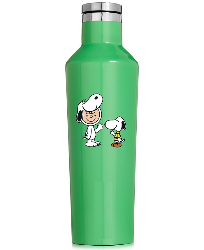 Cantil de aço inoxidável verde de 473 ml da Peanuts Collection Snoopy &amp; Charlie Brown, tamanho único