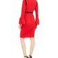 Vestido Calvin Klein Feminino Manga Sino Contrastante Vermelho Tamanho 10