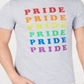 Camiseta gráfica unissex INC Rainbow Pride em benefício do Projeto Trevor, cinza, tamanho médio