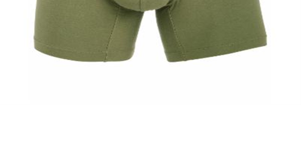 Cueca Boxer Masculina Hugo Lisa Verde Tamanho Grande