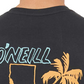 Camiseta masculina O'Neill Bridges - Cinza, tamanho médio