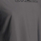 Camisa de manga comprida masculina Basic Skins O Neill, cinza, tamanho XL