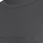 Camisa de manga comprida masculina Basic Skins O Neill, cinza, tamanho XL