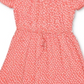 Vestido abaixo do joelho feminino Style &amp; Co, marrom, tamanho grande