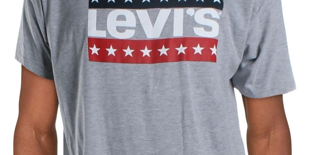 Camiseta Levi's Masculina com Estampa e Logotipo, Gola Redonda Cinza, Tamanho X-G