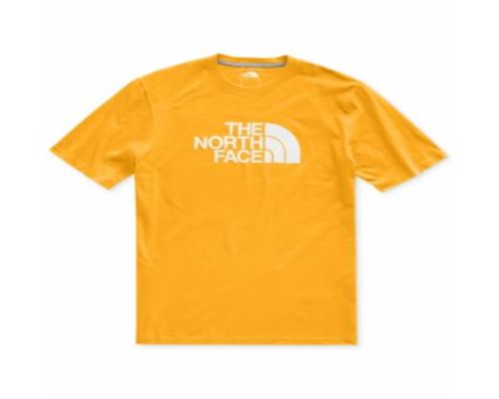 Camiseta The North Face Masculina Half Dome com Logo Amarelo Tamanho P