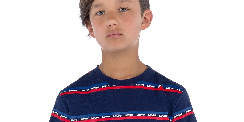 Camiseta Levi's Big Boy's Logo Listrada Azul Tamanho Médio