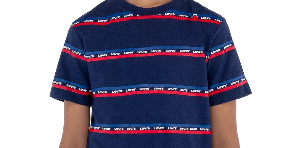 Camiseta Levi's Big Boy's Logo Listrada Azul Tamanho Médio