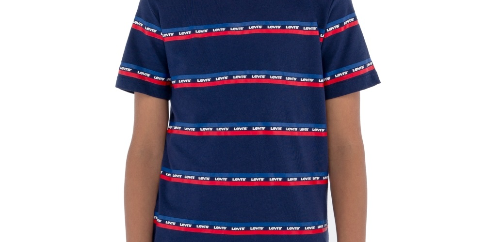 Camiseta Levi's Infantil Menino Listrada com Logotipo Azul Tamanho 2T
