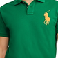 Polo Ralph Lauren Masculino com Gola Patchwork Verde Tamanho XX-G
