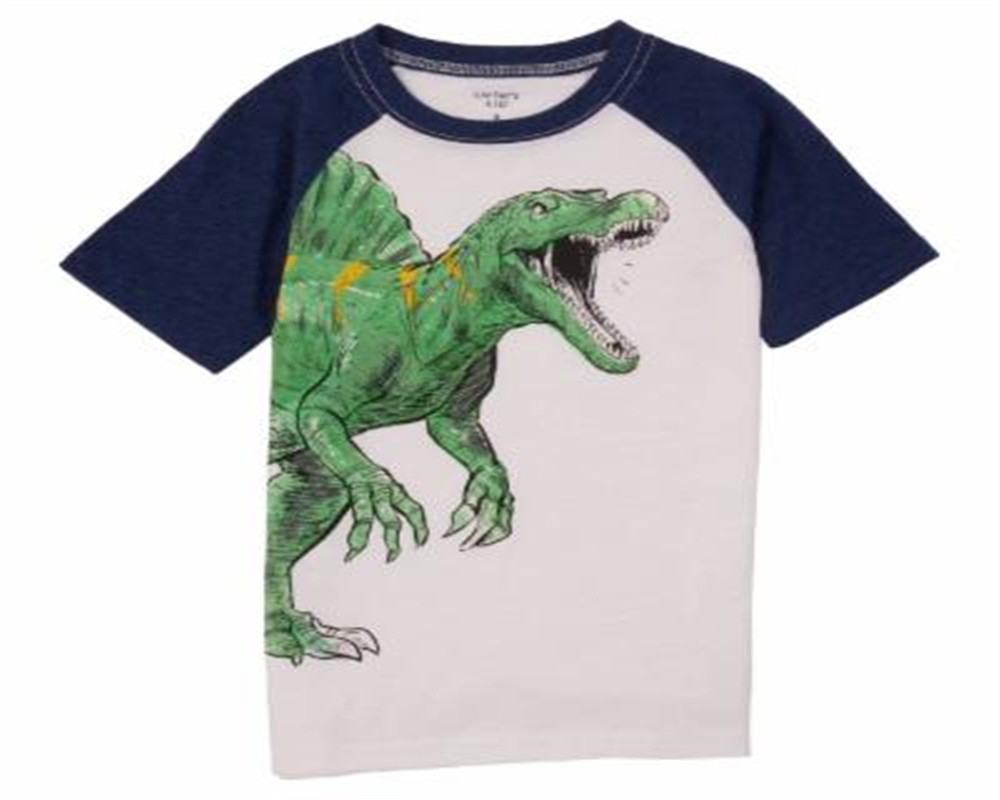 Camiseta Carter's Boy's Dinosaur T-Rex Raglan Slubbed, Branca, Tamanho 5