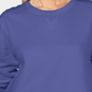Karen Scott Moletom Esportivo Feminino Manga Longa Gola Redonda Roxo Tamanho XS