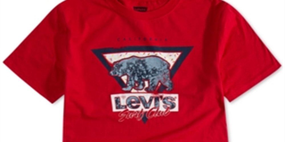 Camiseta Levi's Little Boy's Surf Club com estampa de algodão, vermelha, tamanho 5