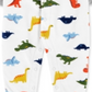 Calça Carter's Boy's Print Dinosaur Fleece Footie Branca Tamanho 9MOS