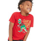 Camiseta infantil masculina com estampa de Papai Noel Saurus da Epic Threads, vermelha, tamanho 2