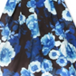 Conjunto de 2 peças de blusa de renda e saia com estampa floral Speechless Big Girl, azul, tamanho 14