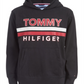Tommy Hilfiger Little Boy's James Logo Moletom leve com capuz cinza tamanho 6