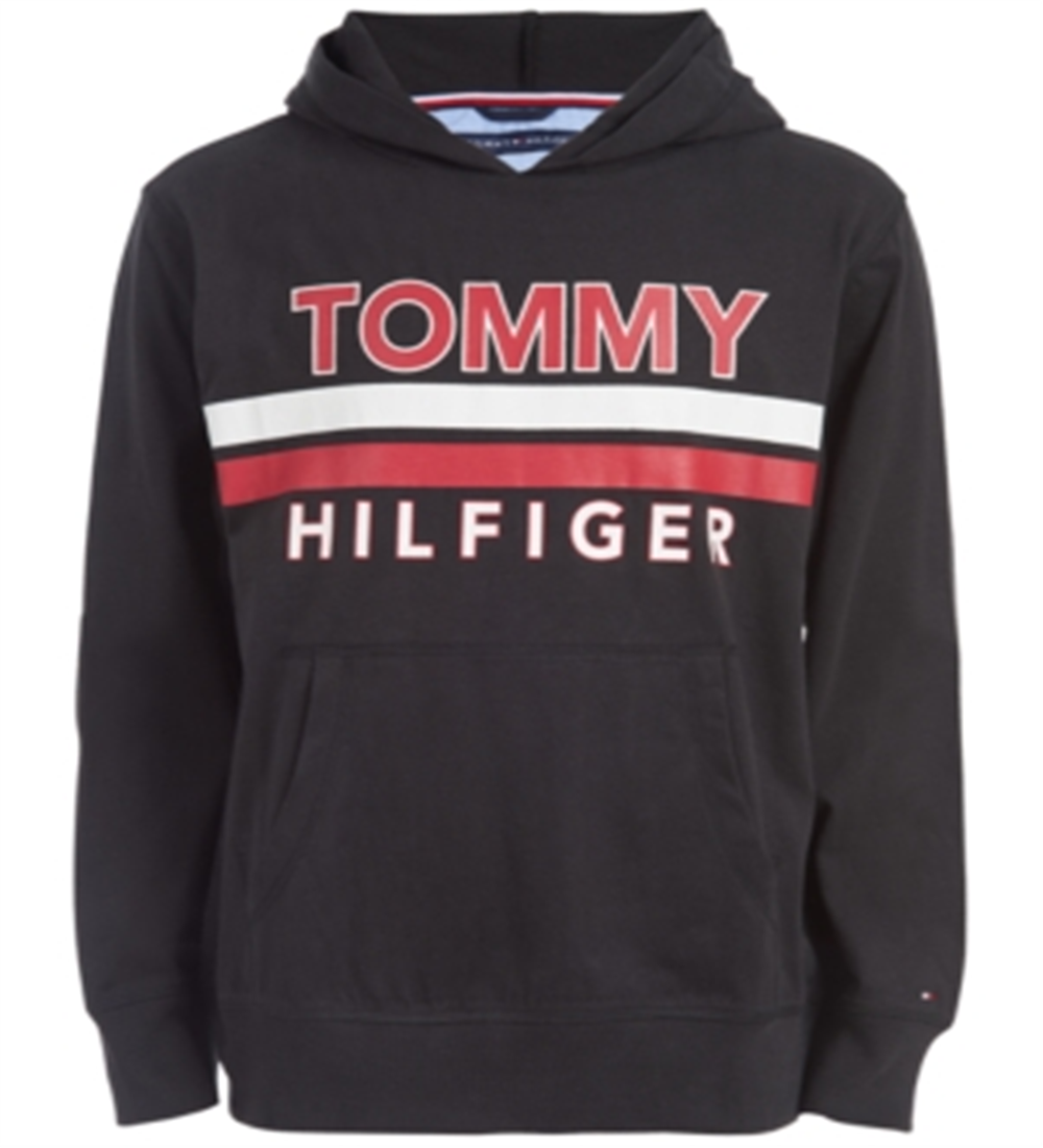 Tommy Hilfiger Little Boy's James Logo Moletom leve com capuz cinza tamanho 6