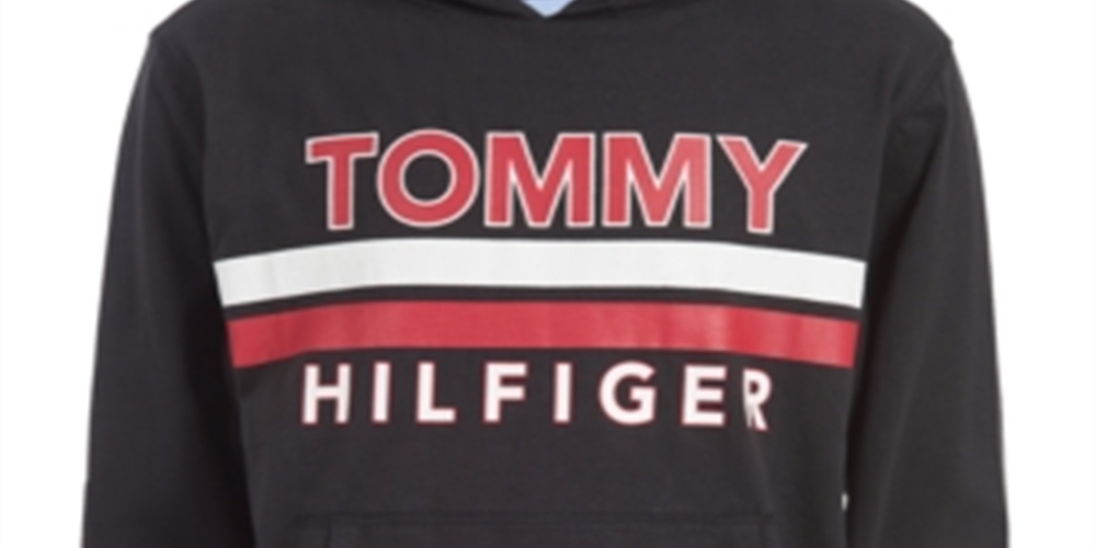Tommy Hilfiger Little Boy's James Logo Moletom leve com capuz cinza tamanho 6
