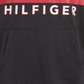 Tommy Hilfiger Little Boy's James Logo Moletom leve com capuz cinza tamanho 6