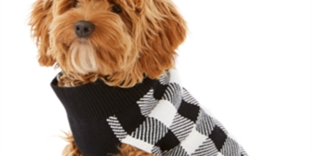 Suéter feminino com estampa xadrez e estampa de cachorro Charter Club, tamanho grande, branco