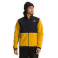 Jaqueta Denali 2 Masculina The North Face Amarela Tamanho P