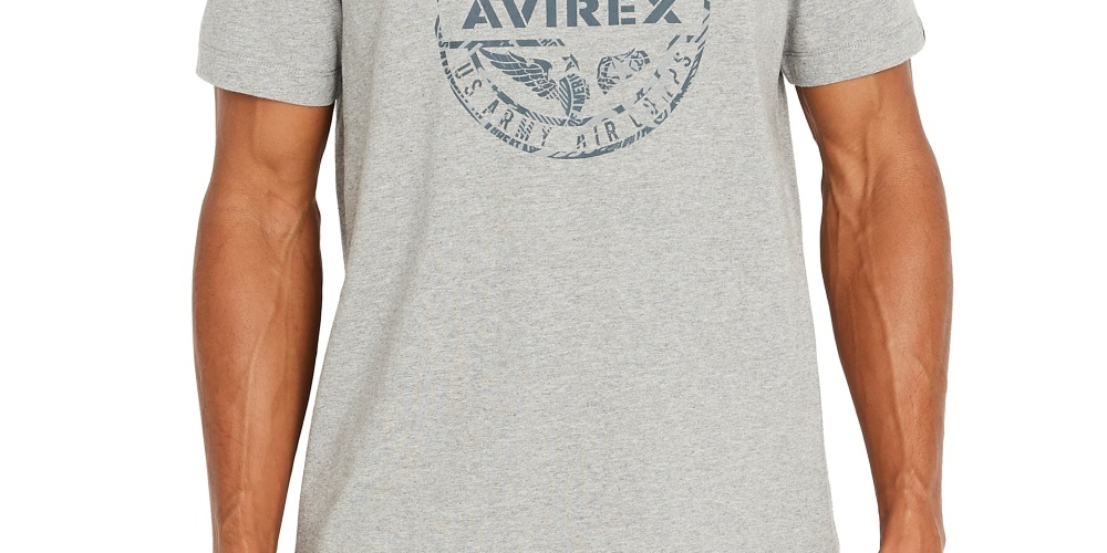 Camiseta masculina Avirex com estampa de globo, cinza, tamanho médio