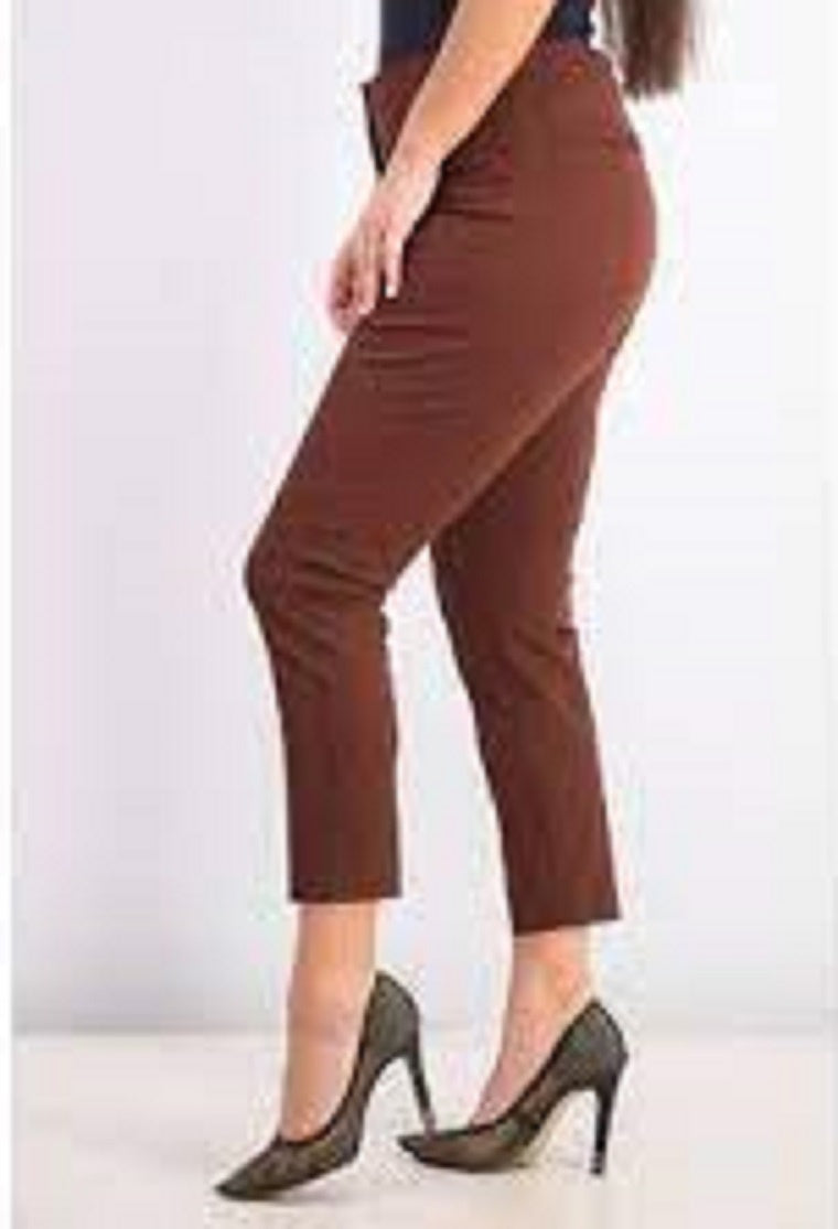Calça skinny Alfani feminina Petite Hollywood-Waist, marrom escuro, tamanho 16P
