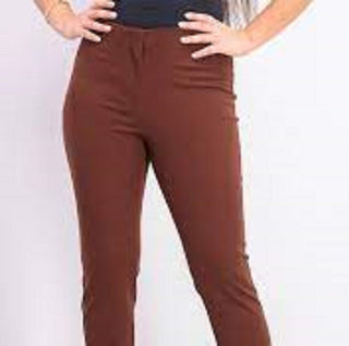Calça skinny Alfani feminina Petite Hollywood-Waist, marrom escuro, tamanho 16P