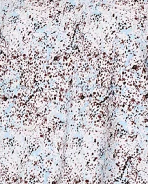 Blusa poncho estampada feminina Alfani, tamanho azul marinho, pequena e média