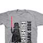 Camiseta infantil Star Wars Dark Side para meninos, tamanho 2, cinza