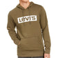 Moletom com capuz Levi's Burndlen Fleece Logo Masculino Verde Tamanho Grande