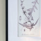 Verdura Botanica: Four-Print Houseplant Pencil Art Set