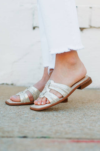 Clarks - Mule Ariany Feminino