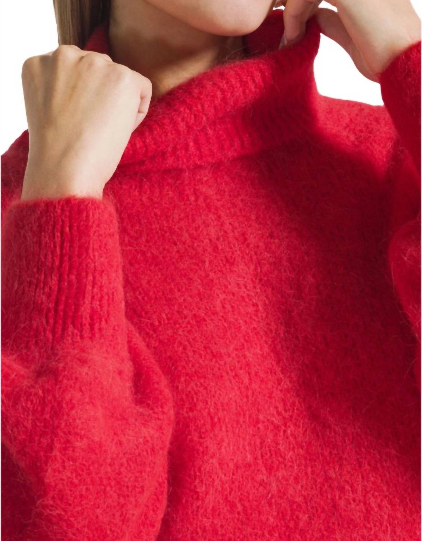 Americandreams - Piro Rollneck Alpaca Long Sleeves Sweater
