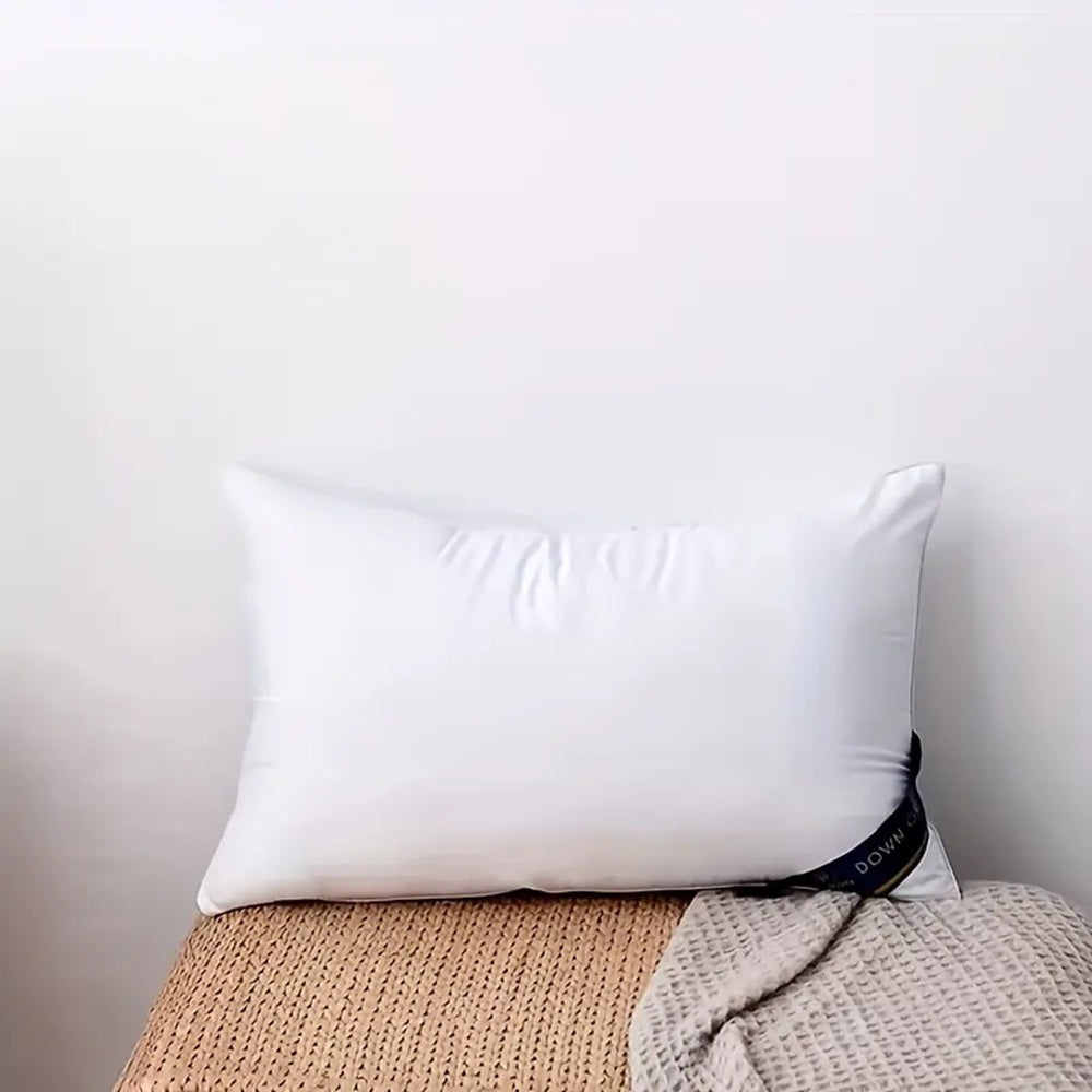 Queen Size 2-Pack Cotton Bed Pillows – Hotel Quality
