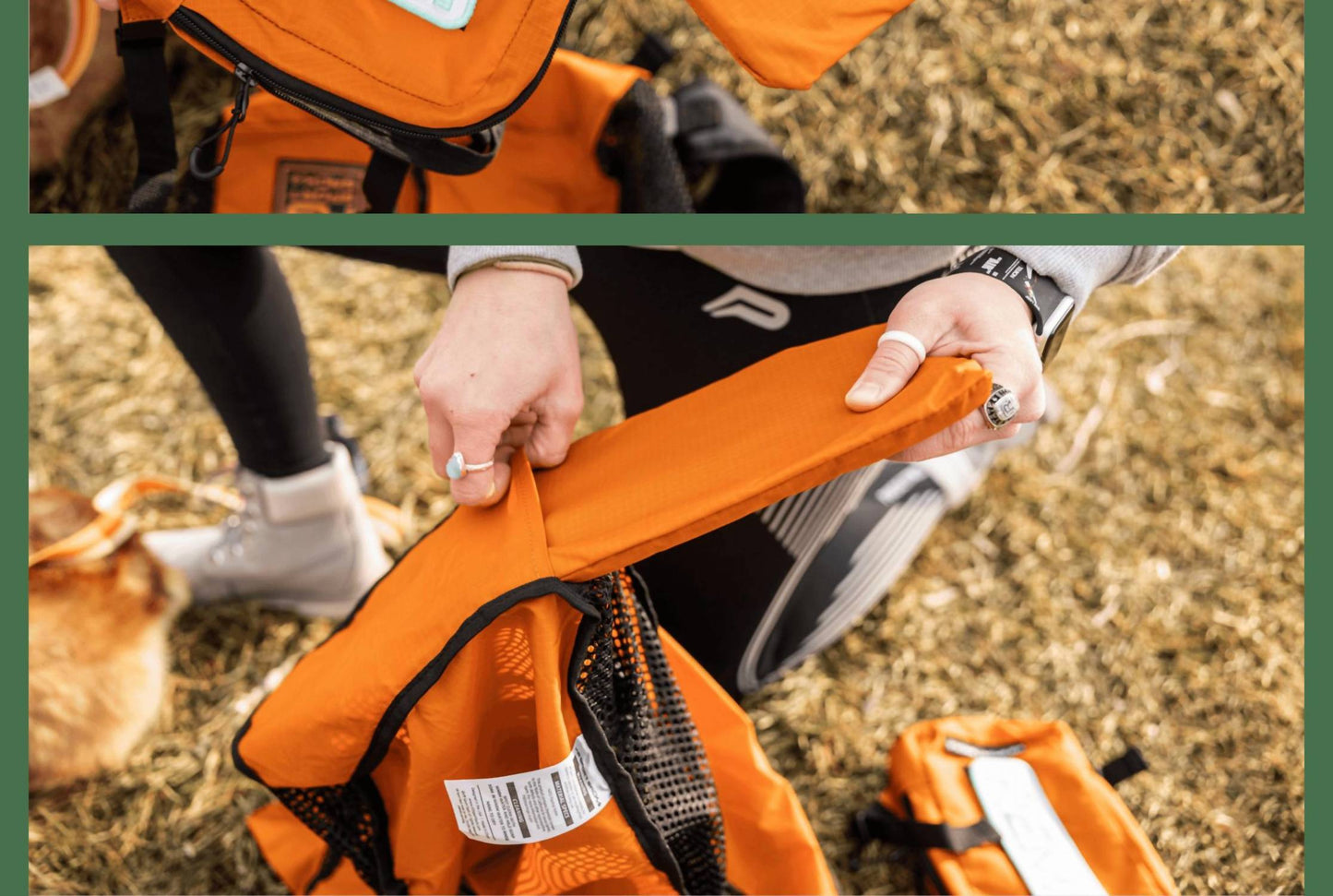 K9 Sport Sack - Walk-on | Lightweight & Packable Dog Carrier With Harness & Storage