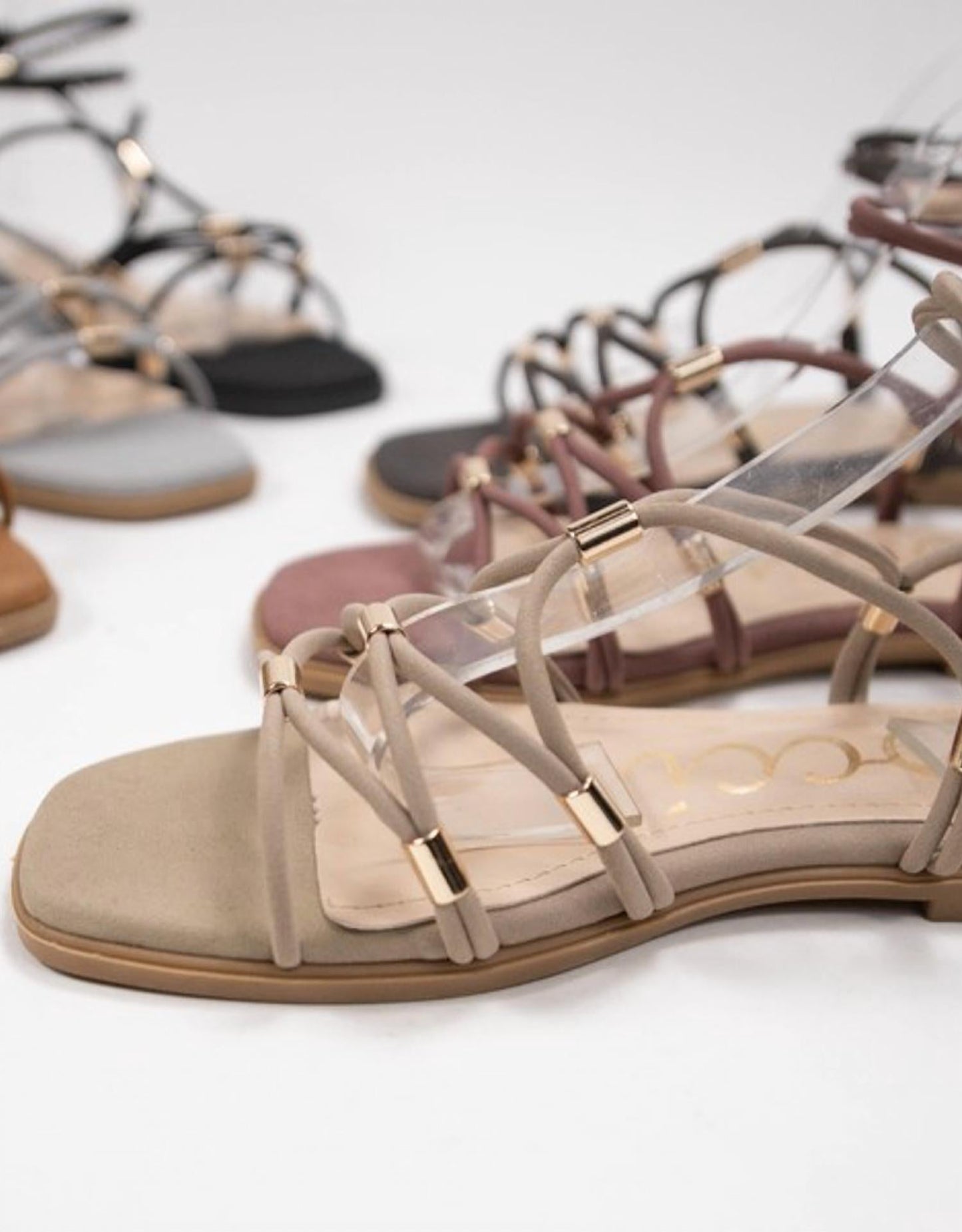 Ccocci - Women's Macy Gladiator Sandal