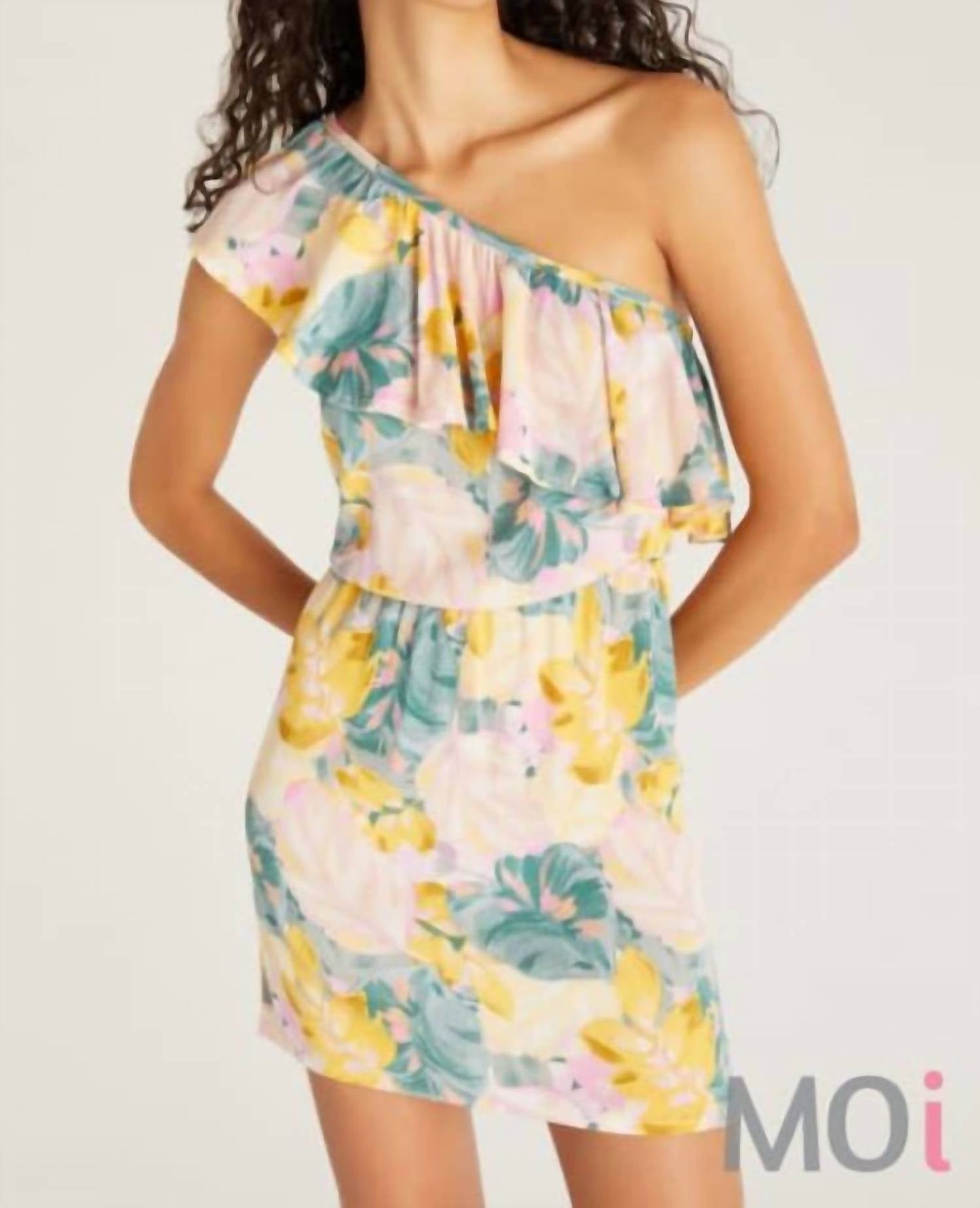 Z Supply - Palma Palm Mini Dress