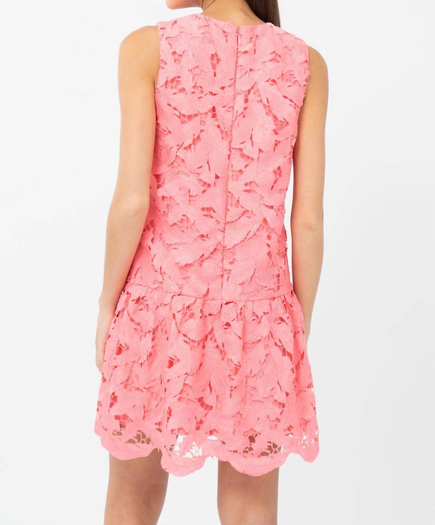Adelyn Rae - Francesca 3D Lace Drop Waist Mini Dress
