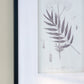 Verdura Botanica: Four-Print Houseplant Pencil Art Set