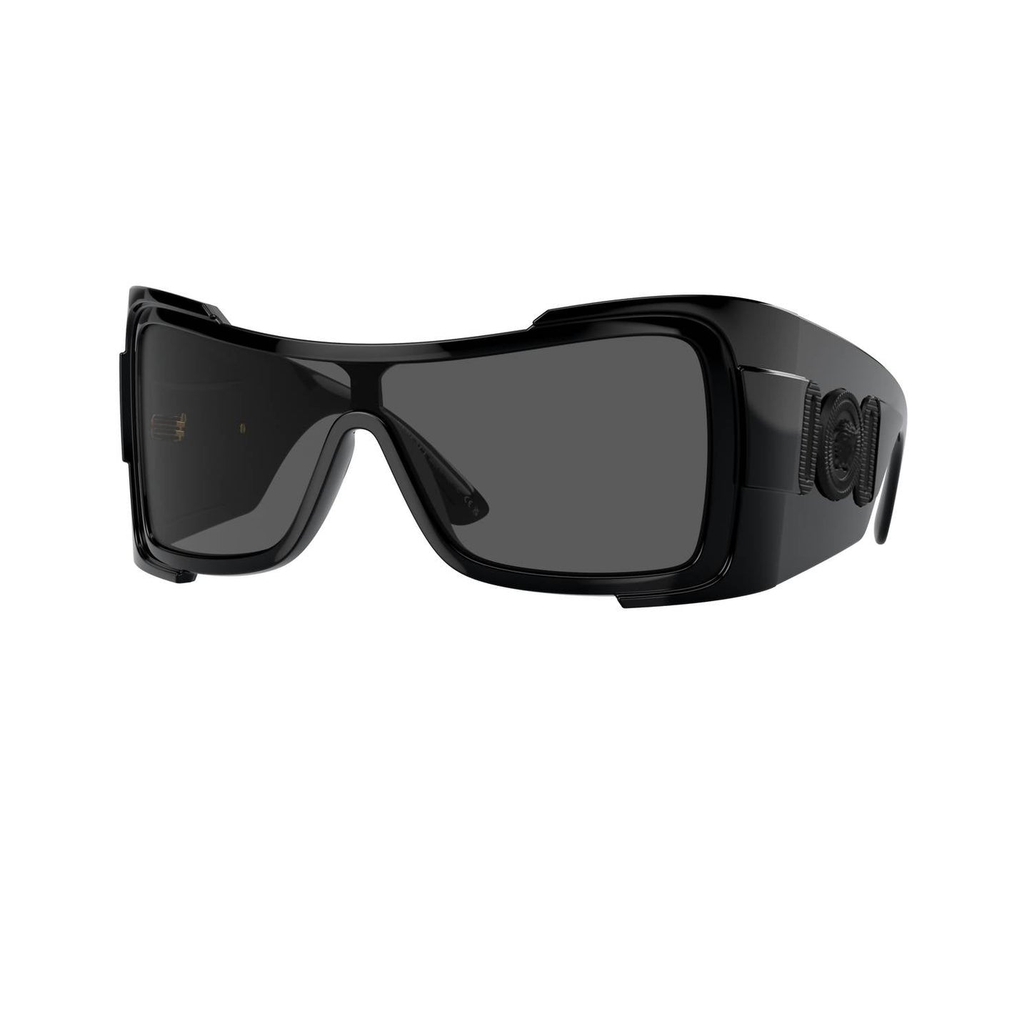 Versace - WOMEN'S 0VE4451 SUNGLASSES