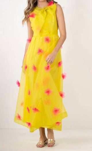 Emily Mccarthy - linda festa maxi no jardim