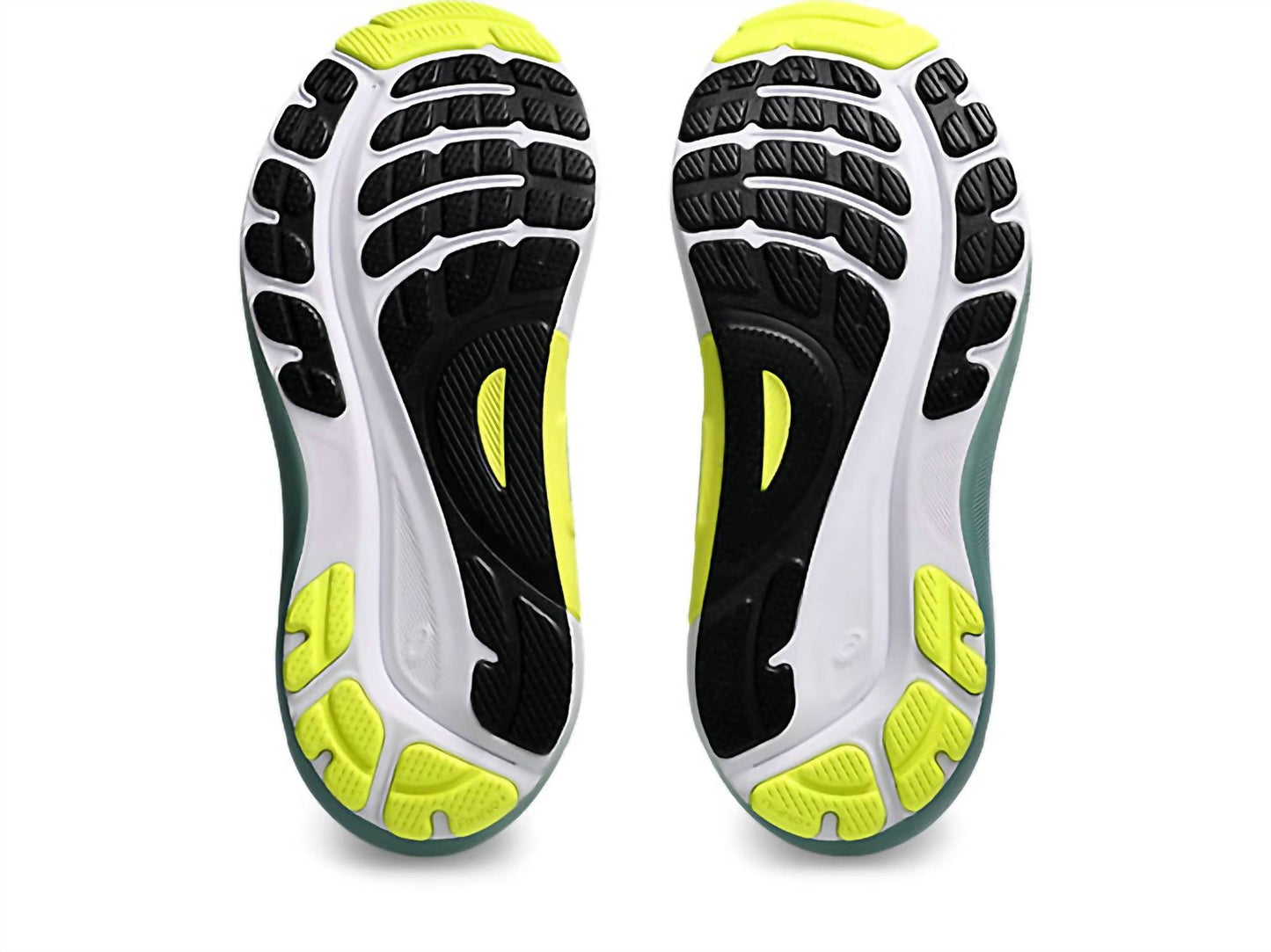 Asics - Men's Kayano 31 Running Shoes